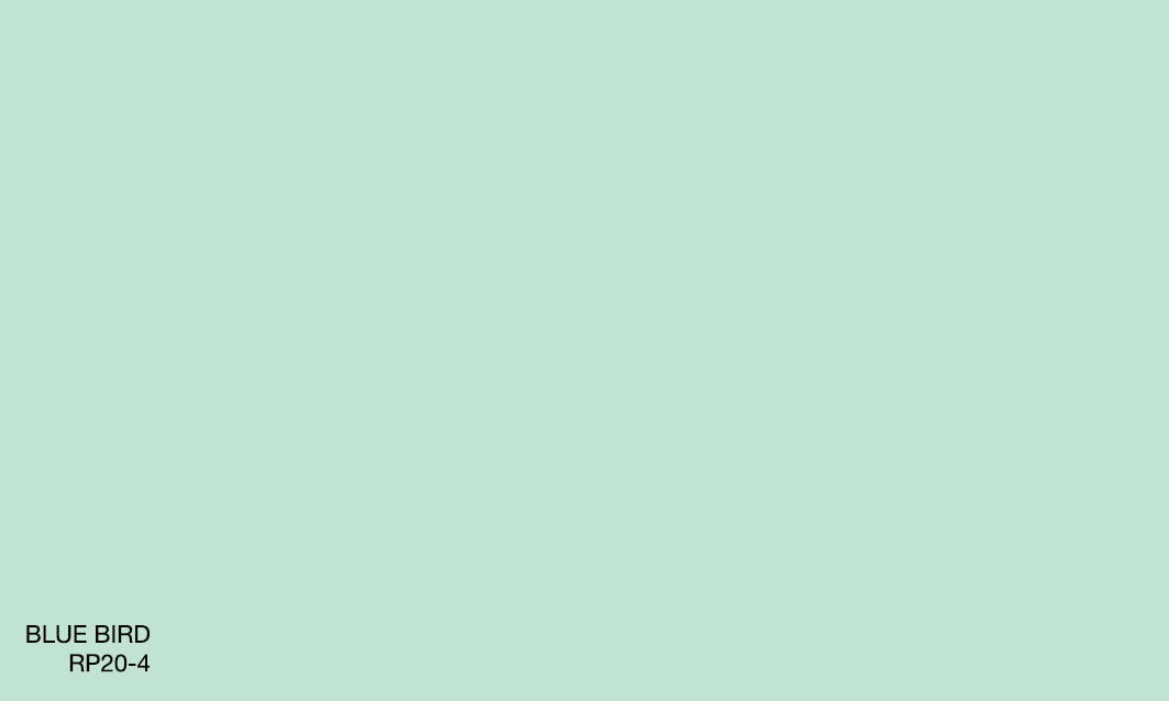 BLUE BIRD RP20-4 (R.AQUA)