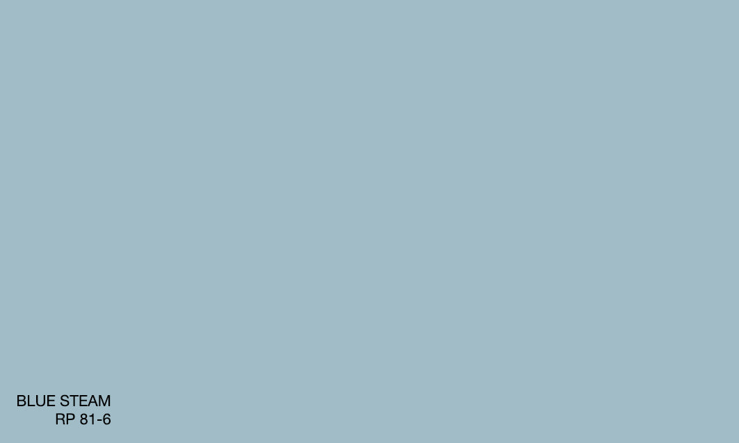 BLUE STEAM RP 81-6 (R.ONE EXTERIOR)