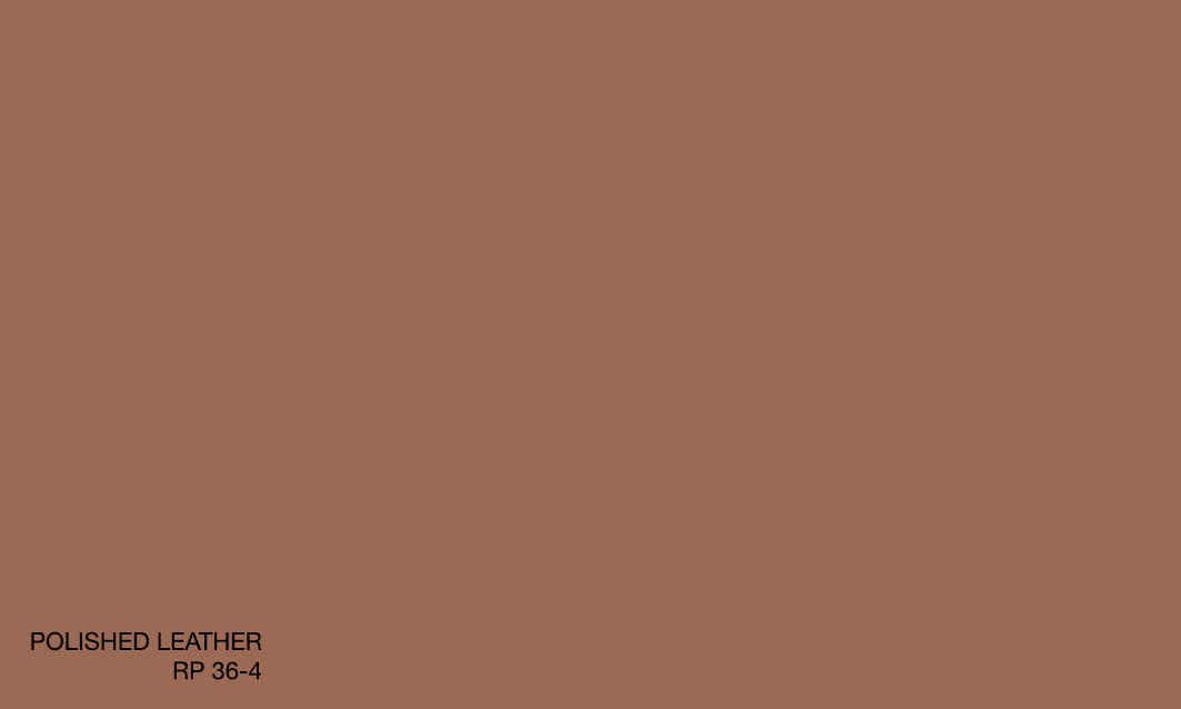 POLISHED LEATHER RP 36-4 (R.WASH)