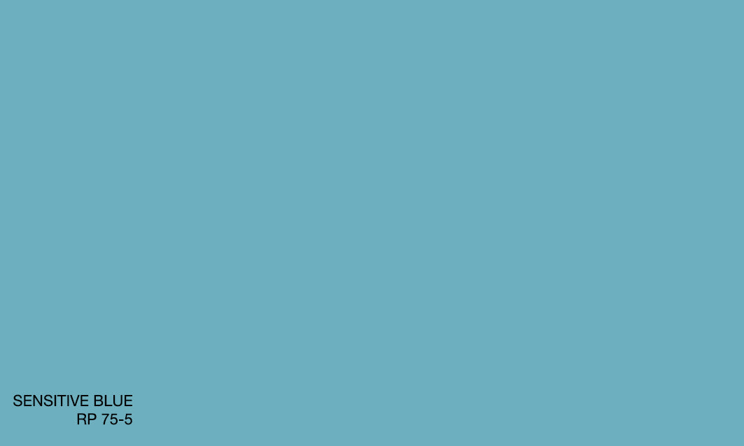 SENSITIVE BLUE RP 75-5 (R.ONE)