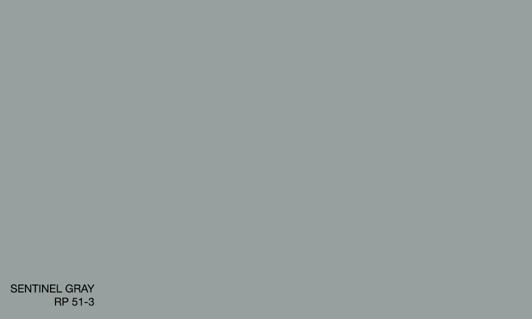 SENTINEL GRAY RP 51-3 (R.AQUA)