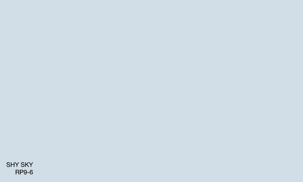 SHY SKY RP 9-6 (R.ONE)