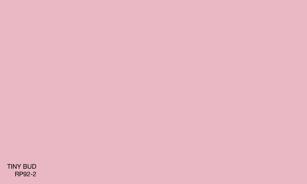 TINY BUD RP 92-2 (R.ONE)