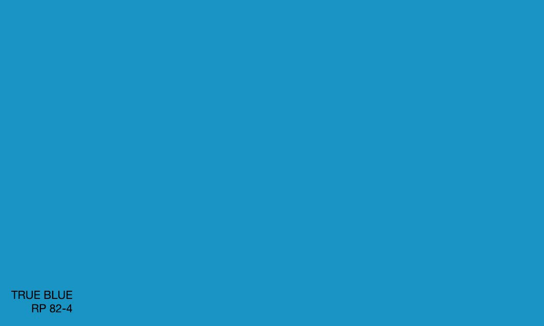TRUE BLUE RP 82-4 (R.ONE)