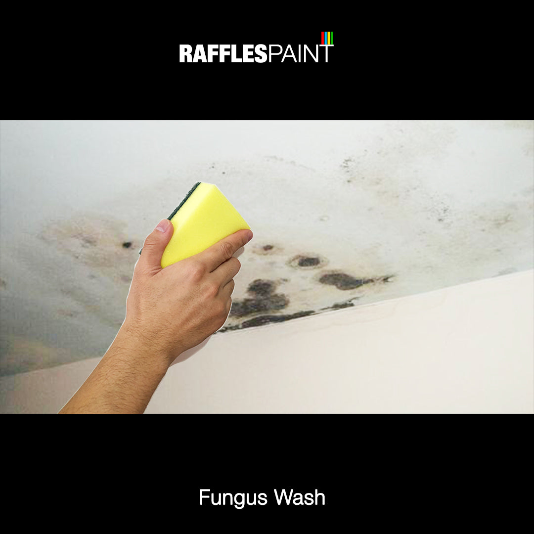 Mansionette Flat or Below 1700sqft Painting Package