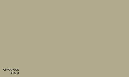 ASPARAGUS RP23-3 (R.ONE EXTERIOR)