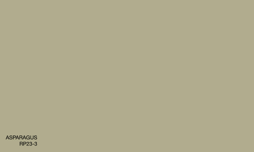 ASPARAGUS RP23-3 (R.AQUA)
