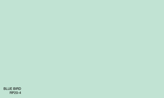 BLUE BIRD RP20-4 (R.AQUA)