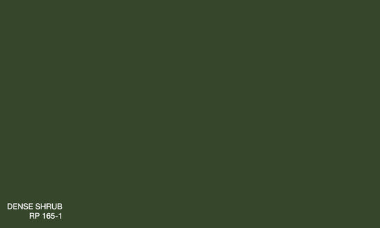DENSE SHRUB RP 165-1 (R.WASH)
