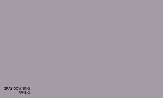 GRAY DOWNING RP 48-2 (R.ONE EXTERIOR)
