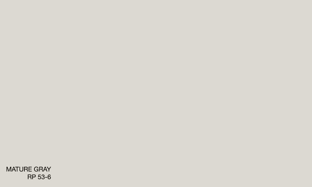 MATURE GRAY RP 53-6 (R.ONE)