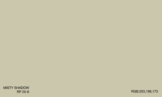 MISTY SHADOW RP 25-6 (R.ONE EXTERIOR)