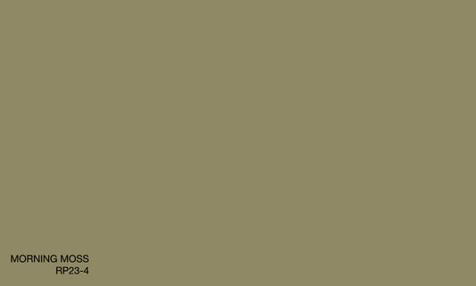 MORNING MOSS RP23-4 (R.ONE EXTERIOR)