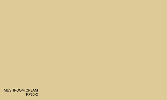 MUSHROOM CREAM RP 30-2 (R.ONE EXTERIOR)