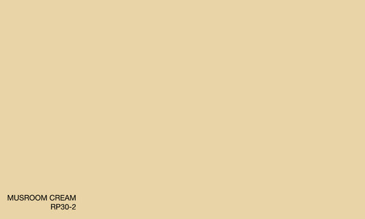 MUSROOM CREAM RP30-2 (R.COAT)