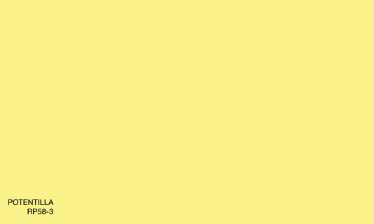 POTENTILLA RP58-3 (R.ONE EXTERIOR)