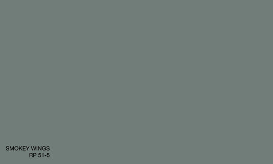 SMOKEY WINGS RP51-5 (R.AQUA)