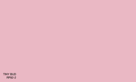 TINY BUD RP 92-2 (R.WASH)