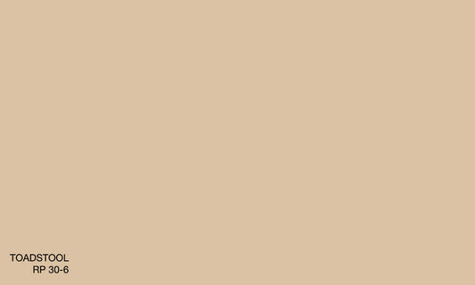 TOADSTOOL RP 30-6 (R.ONE EXTERIOR)